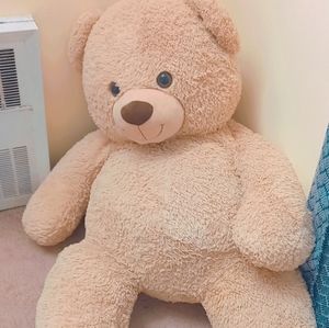 Giant teddy bear